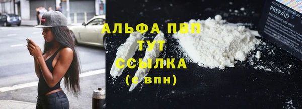 spice Богданович