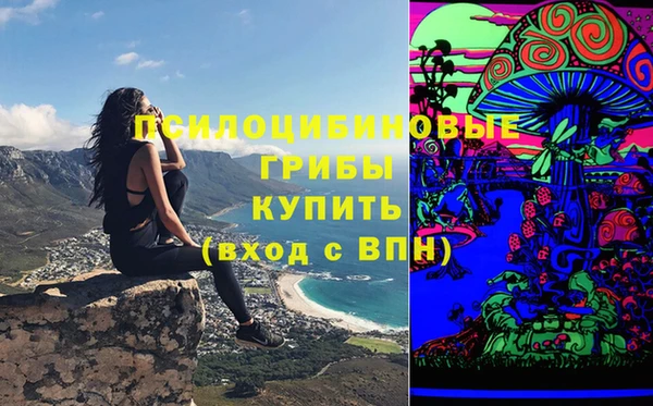 spice Богданович