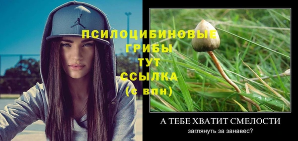бошки Богородицк