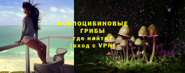 бошки Богородицк