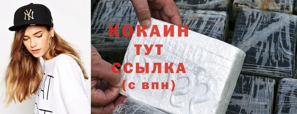 бошки Богородицк