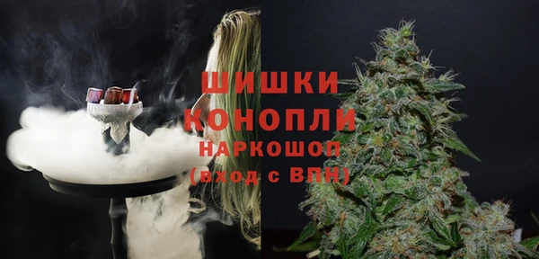 spice Богданович